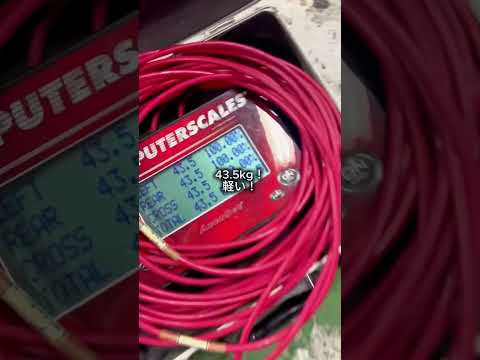 Tremec TKXを実測。ギヤボックスの重量は43.5kg